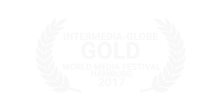 intermedia-Globe GOLDforDiaryOfAbeholder.png